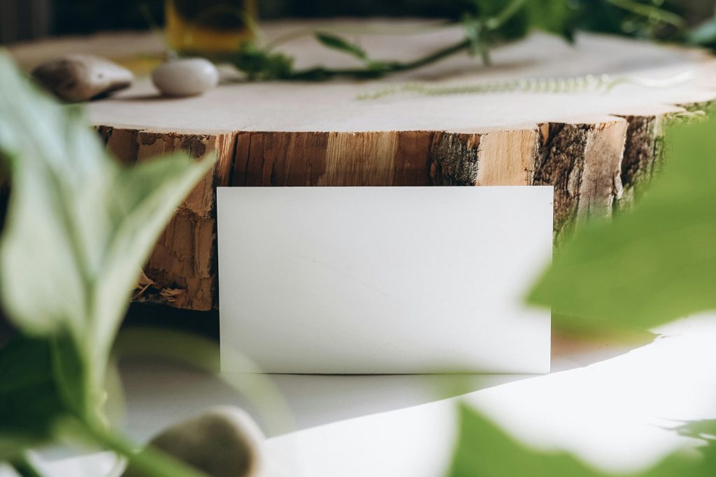 Green marketing: estrategias para marcas sostenibles